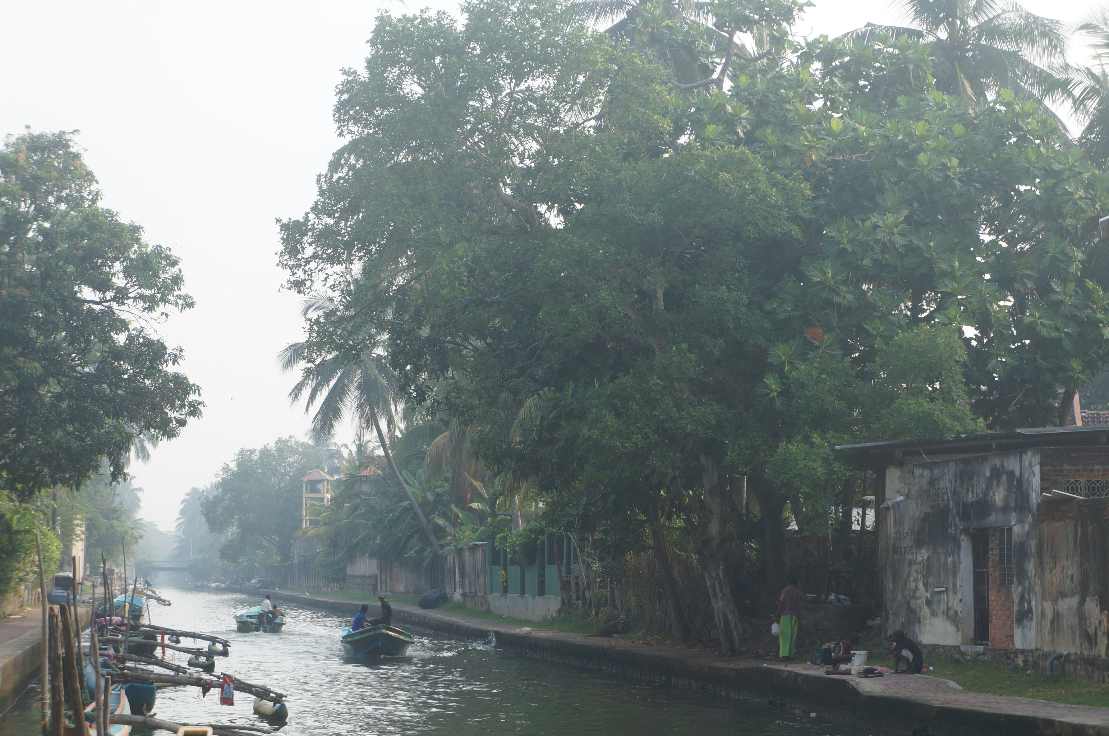 这就是真正的荷兰:碧绿色的低地镶嵌在一条条