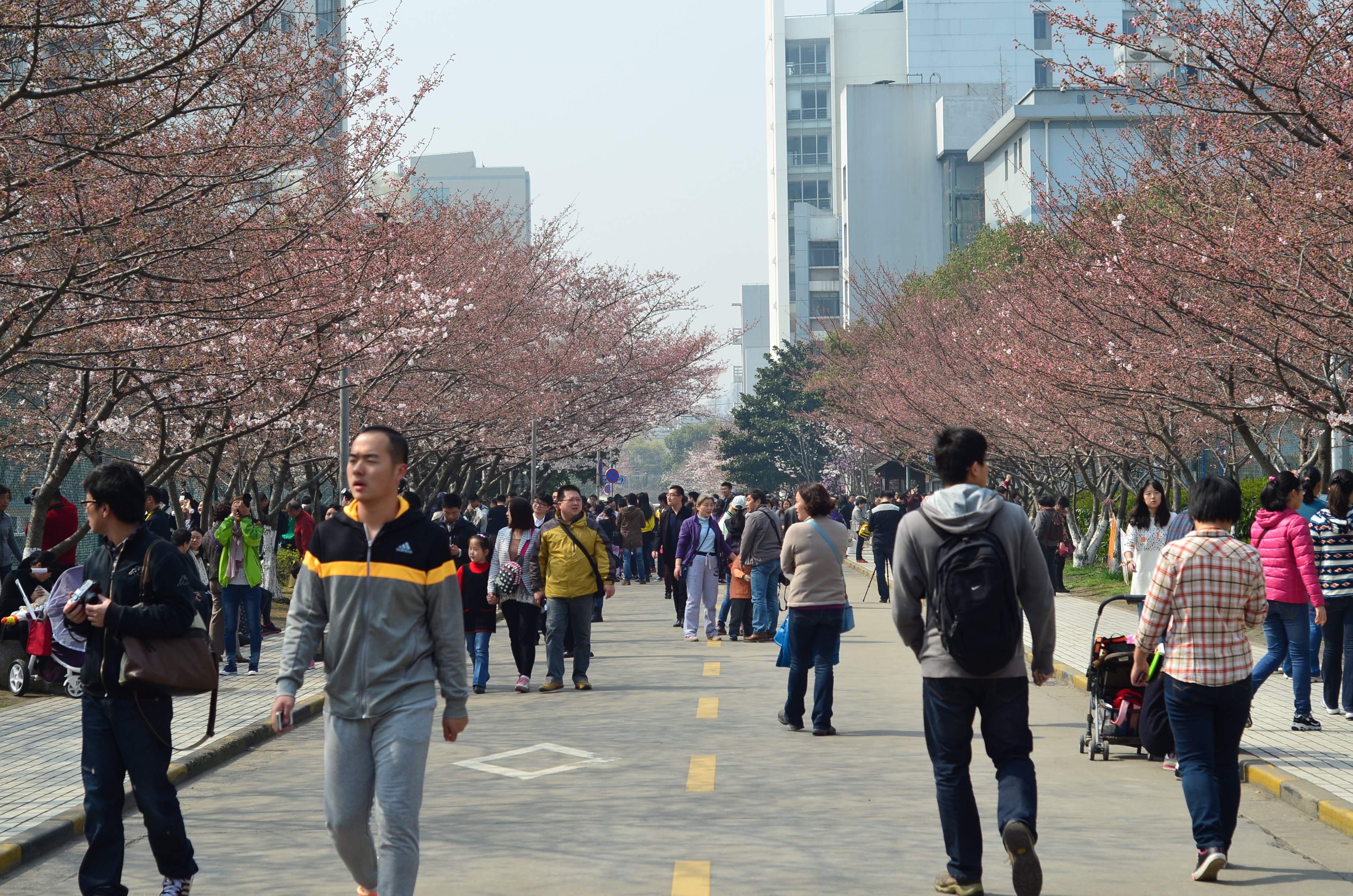 上海同济大学继续教育学院口碑怎么样?重点是