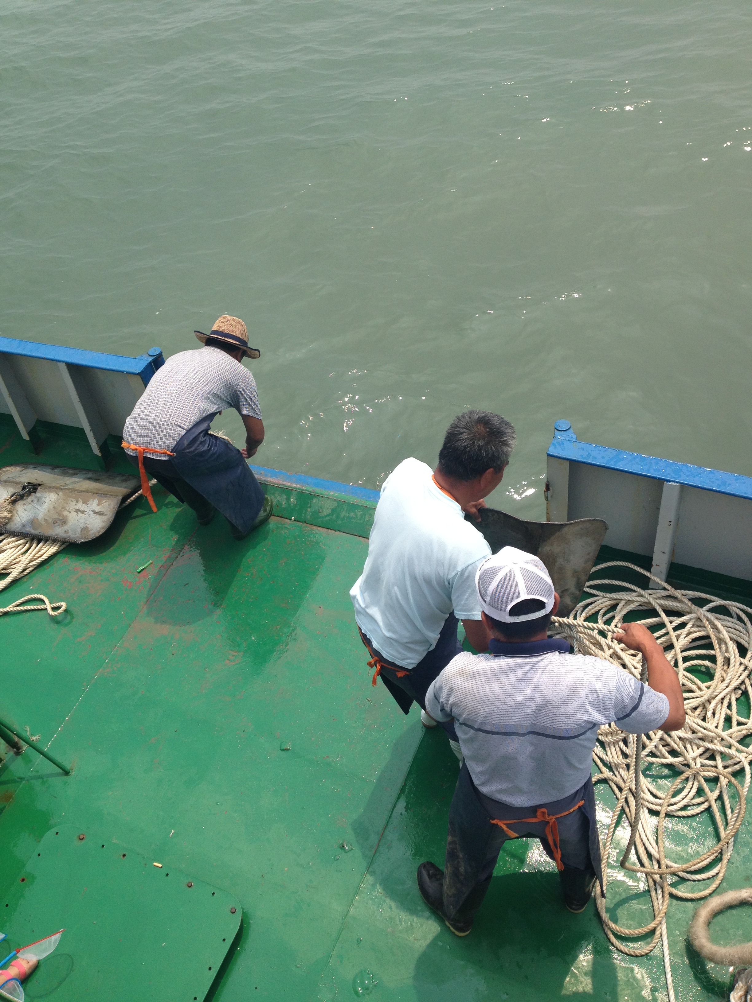 深圳那里有招聘出海捕鱼工