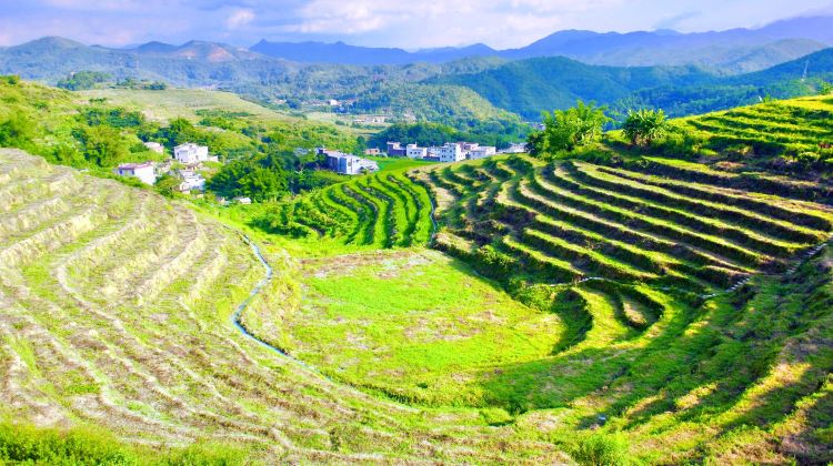 大埔坪山梯田旅游区攻略-坪山梯田旅游区门票价格多少钱-团购票价预定