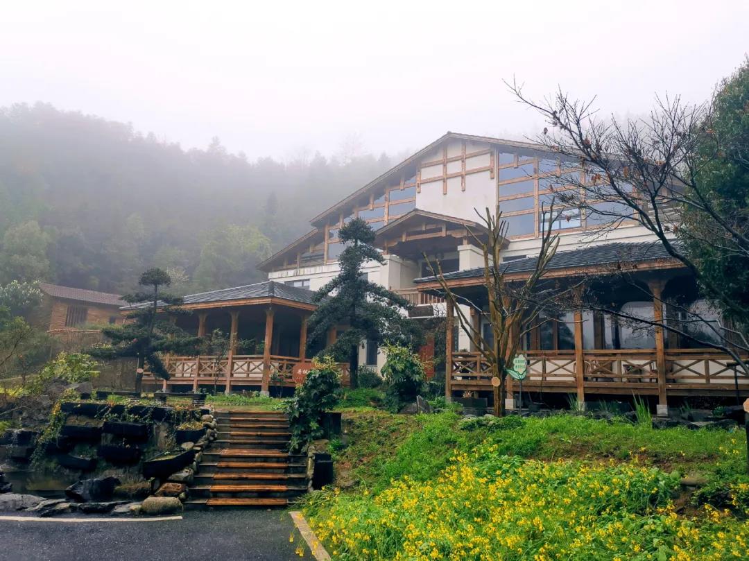 枫溪谷观雾:沾衣欲湿杏花雨 吹面不寒杨柳风.