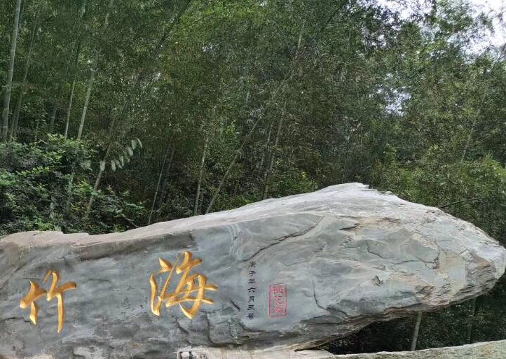 桃花江竹海风景区景色不错风景宜人空气清新纯天然自然风景天然氧吧