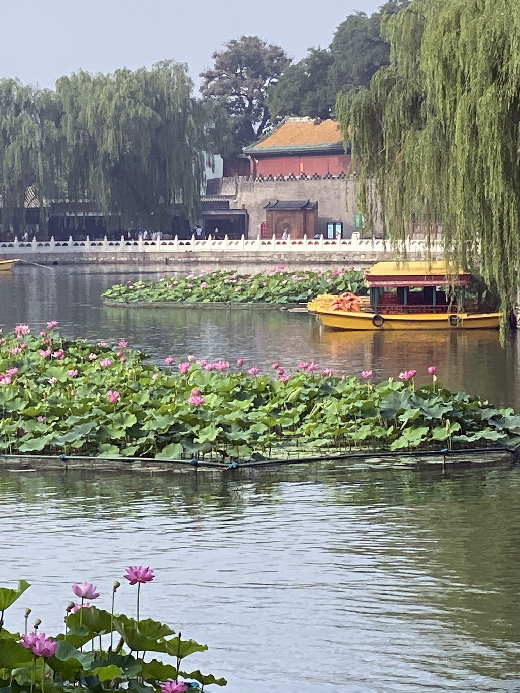 让我们荡起双桨,北海公园风景如画