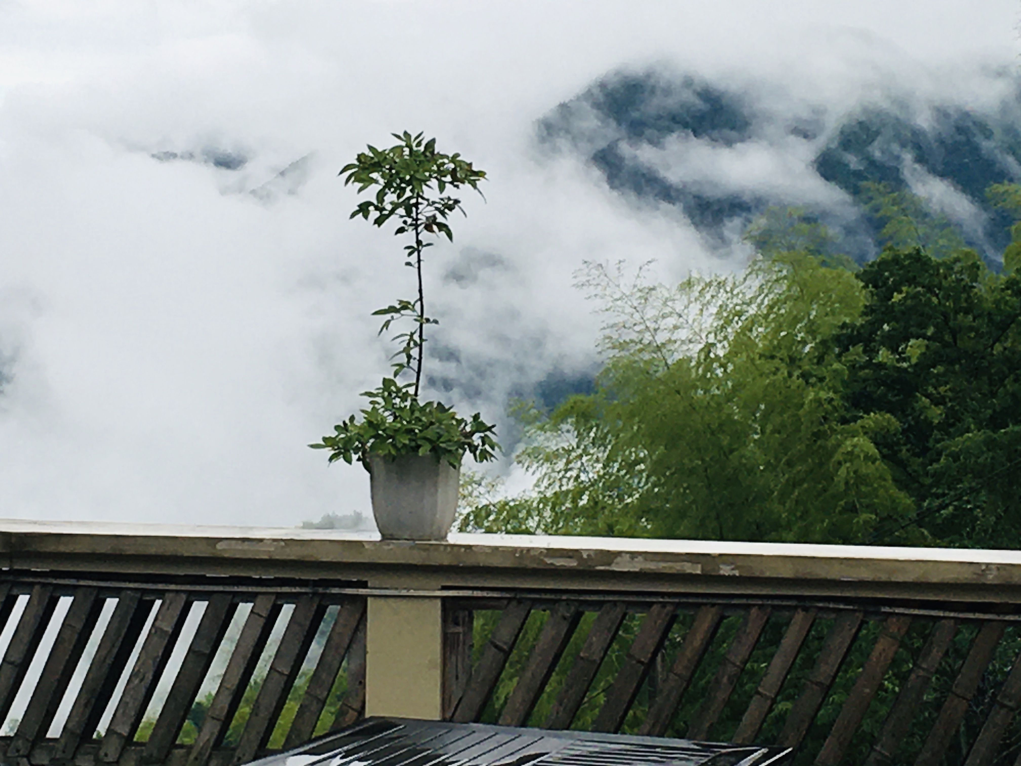 请问一大清早看日出,景区还没有开门,要去哪里看比较好啊