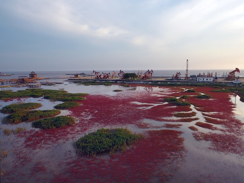 红海滩湿地科学馆