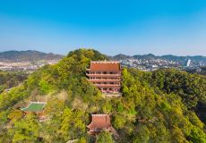 重庆凉风垭森林公园攻略-凉风垭森林公园门票价格多少钱-团购票价预定