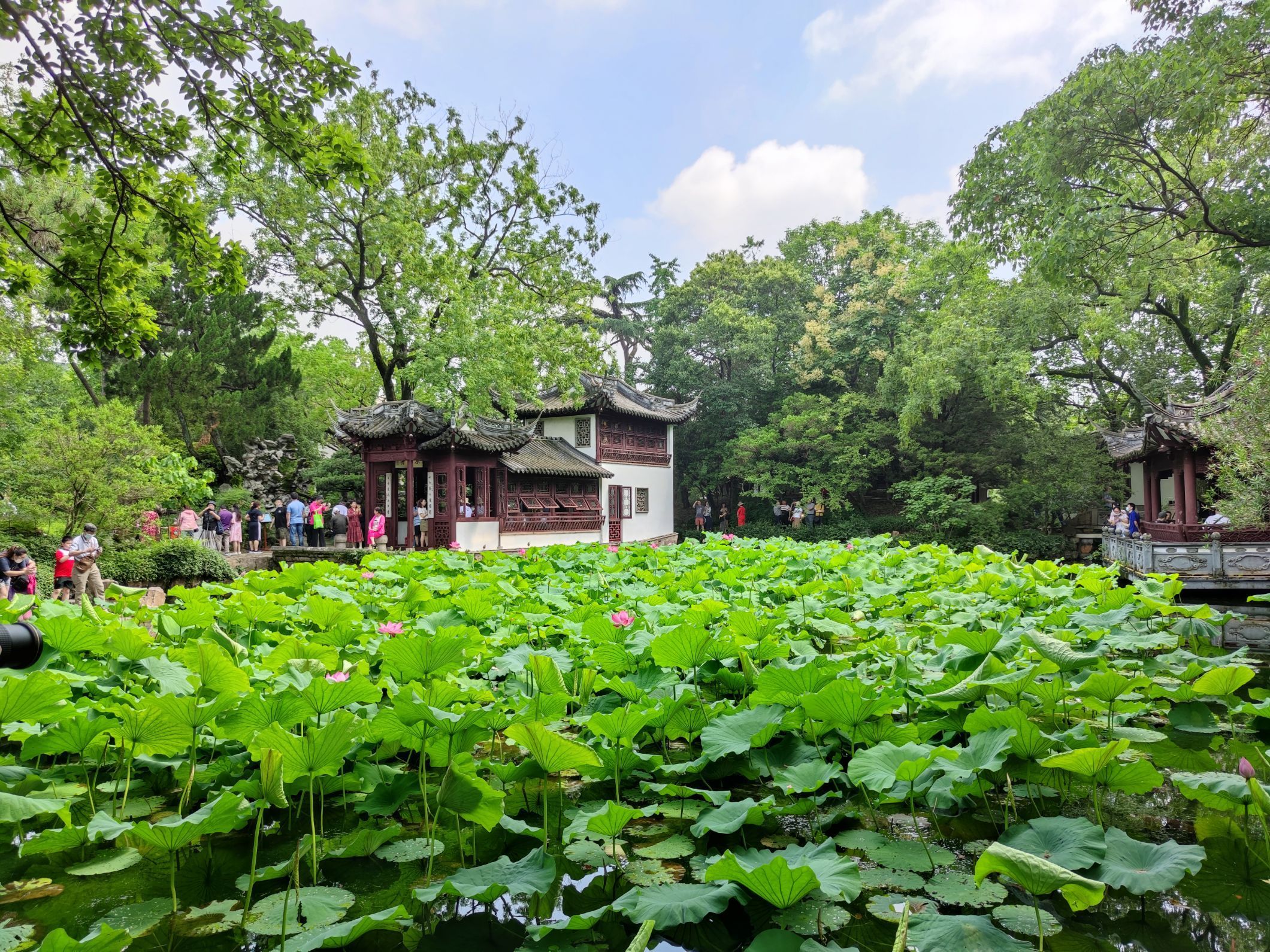 古猗园旅游景点攻略图