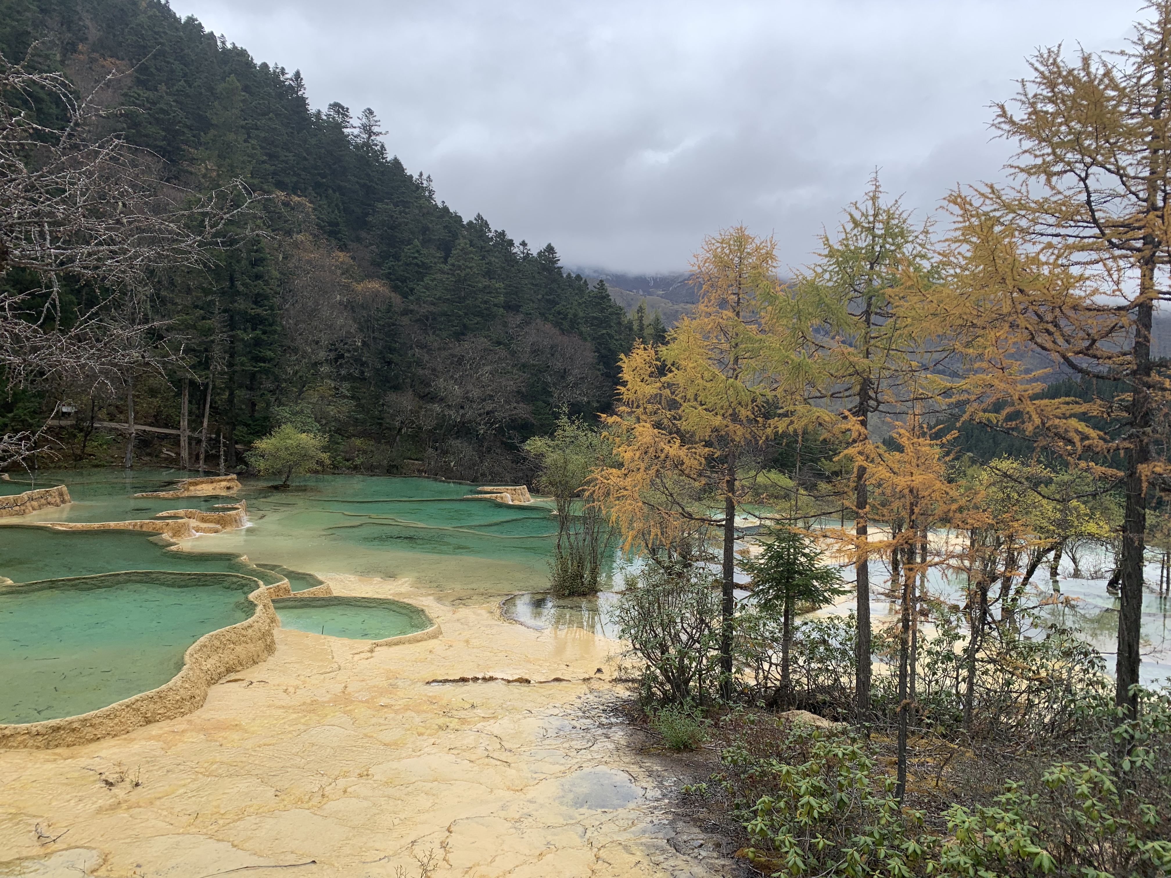 请问黄龙景区门票索道多少钱?