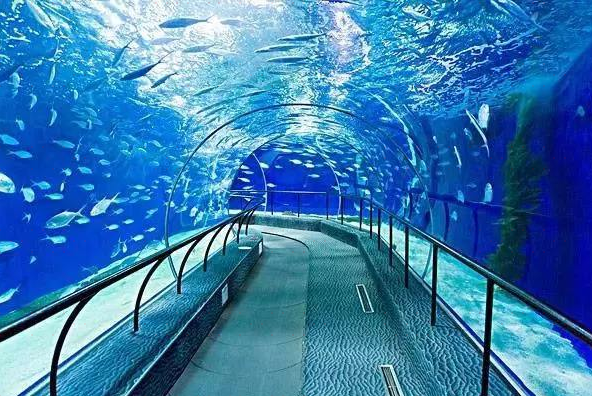 上海上海海洋水族馆中国展区攻略-上海海洋水族馆中国