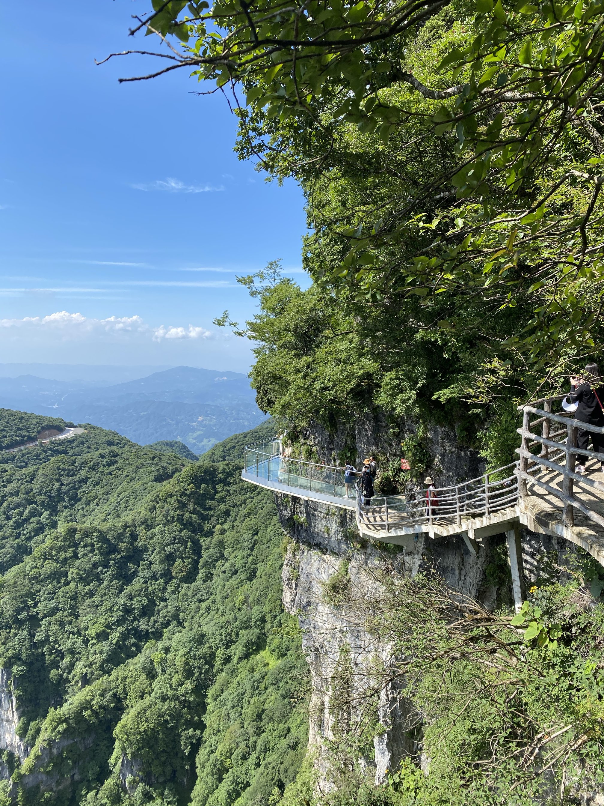 龙头山玻璃栈道现在开放不?-汉中旅游问答 【携程攻略】