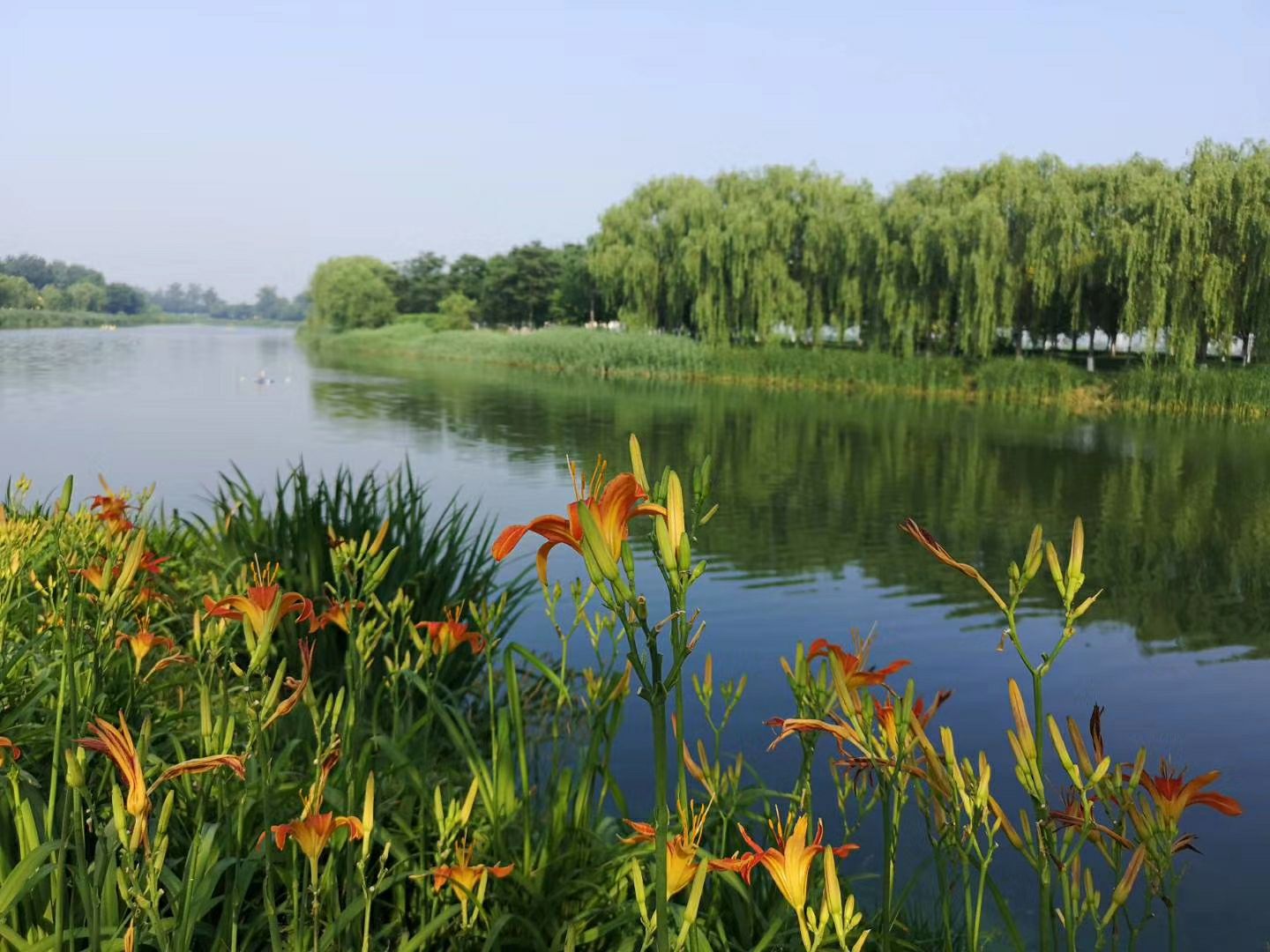 北运河水利风景区