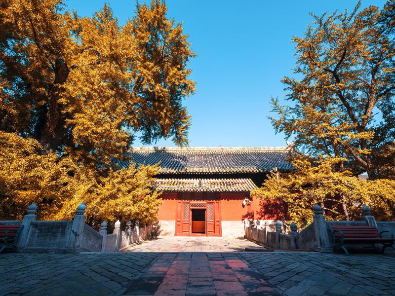 北京大觉寺攻略-大觉寺门票价格多少钱-团购票价预定优惠-景点地址