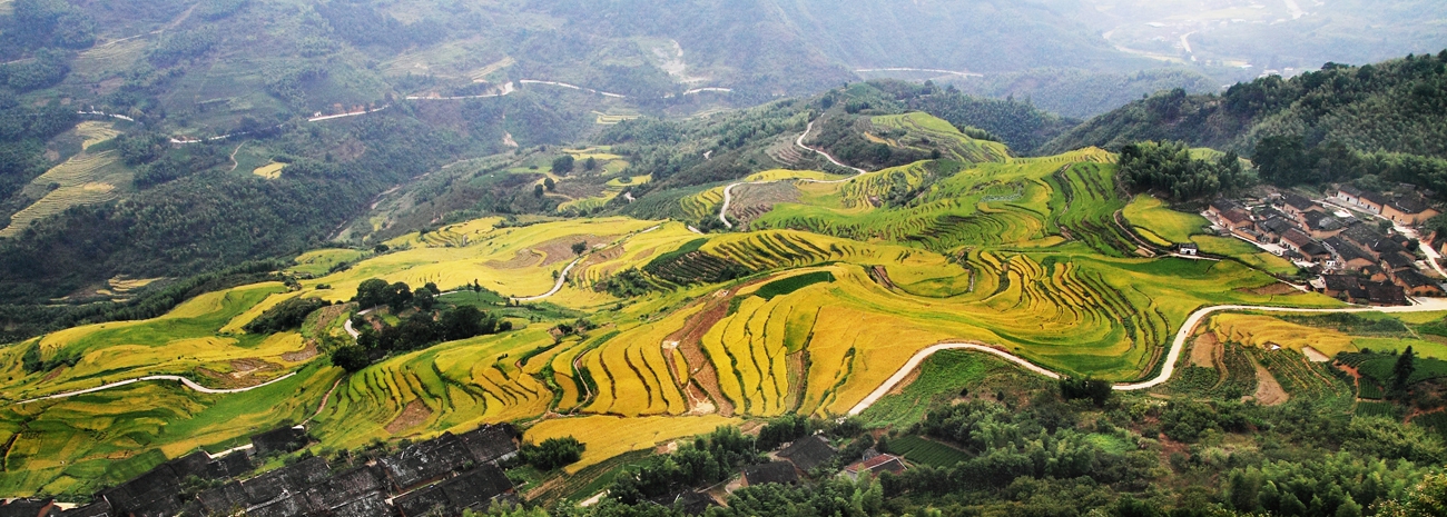 政和念山云上梯田景区
