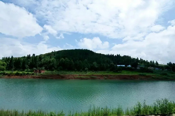 九龙山国家森林公园
