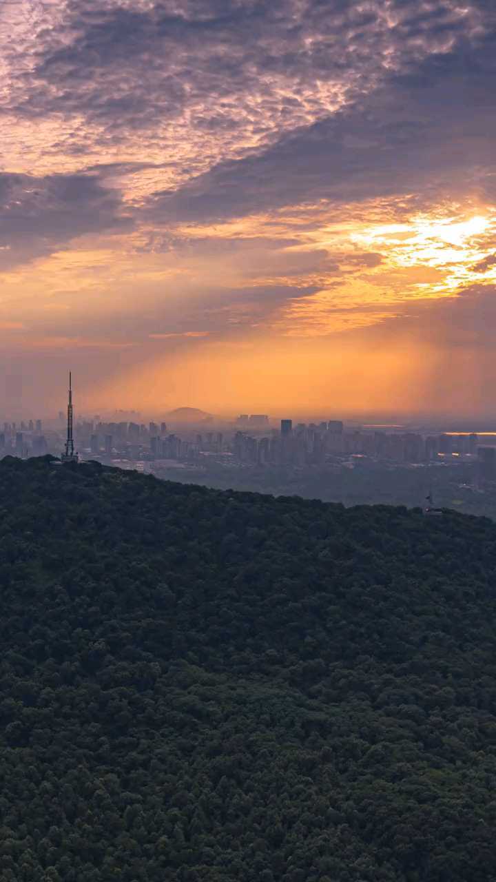 蜀山森林公园