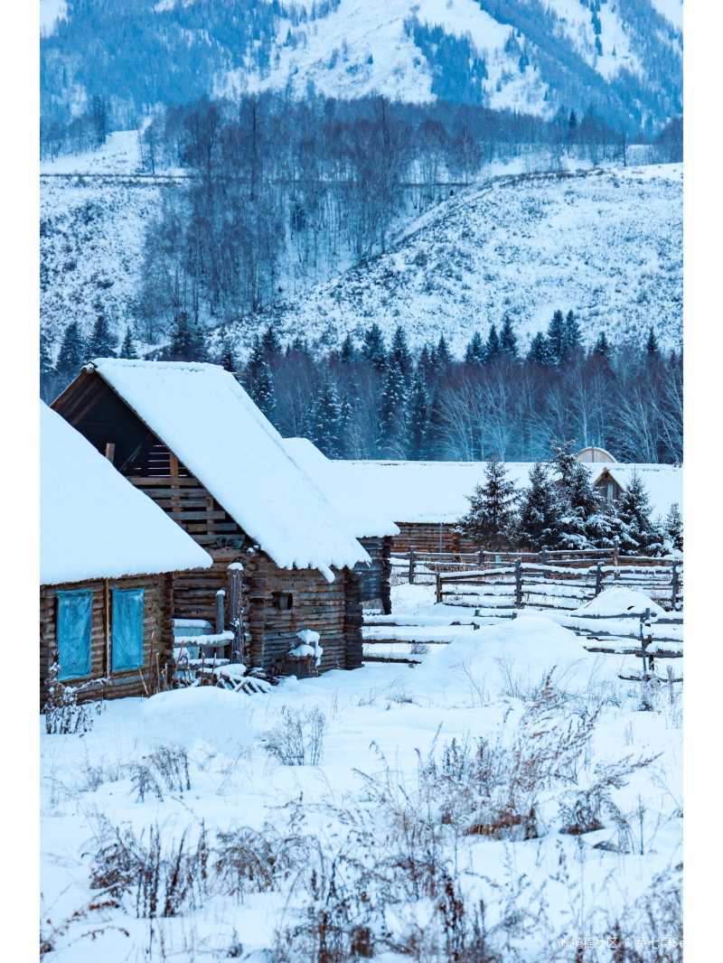 新疆童话之旅去喀纳斯禾木村看神仙雪景