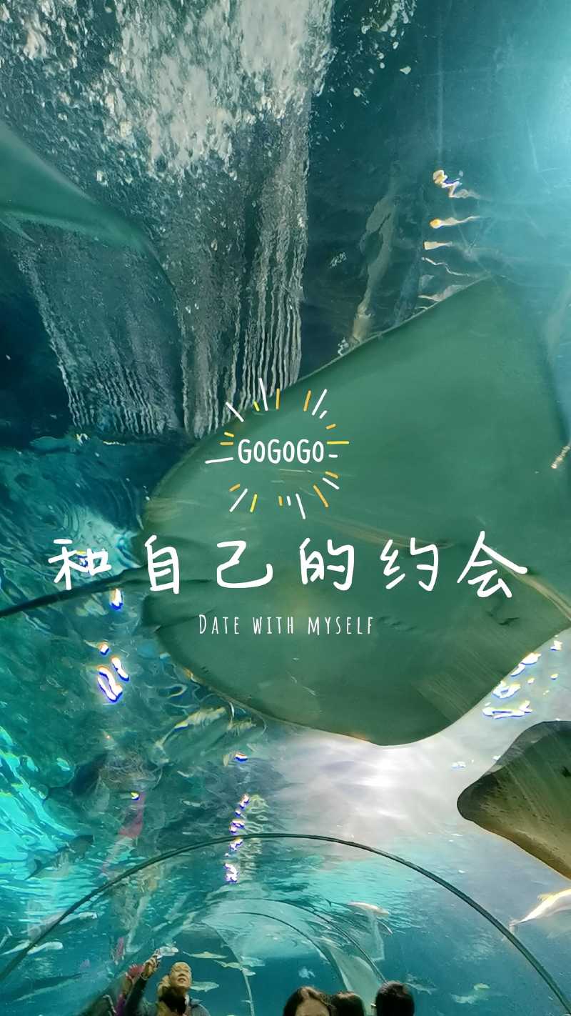 野子带你看世界【海洋馆唯美vlog怎么拍】选-上海海洋
