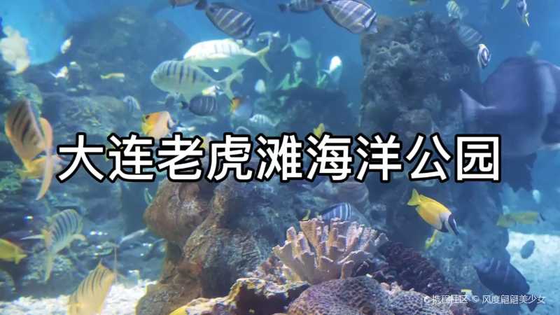 老虎滩海洋公园星球号