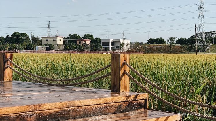 上元稻田公园