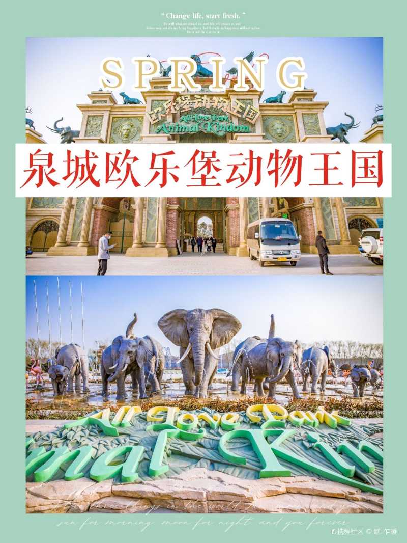 22动物王国雾森-泉城欧乐堡动物王国自由行笔记-旅游景点攻略-携程