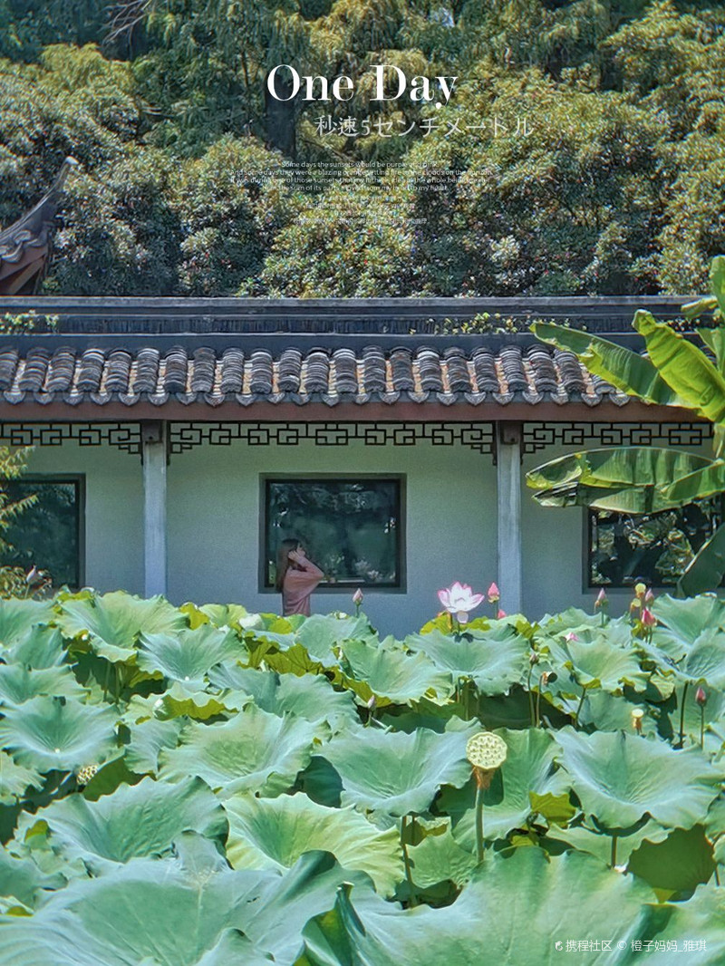 橙子妈妈_雅琪夏天到杭州一定少不了去 poi-湛碧楼自由行笔记-旅游