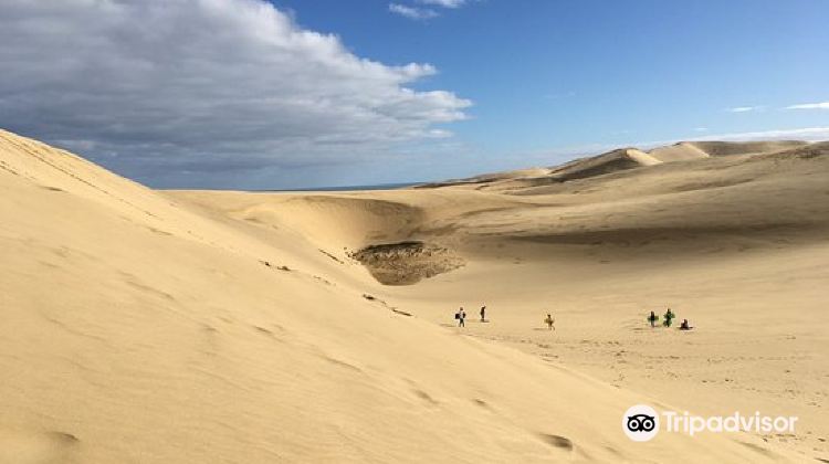 雷恩加角giant sand dunes攻略-giant sand dunes门票价格多少钱-团购