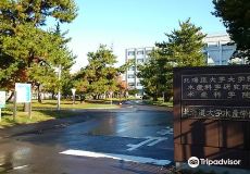 北海道大学附属图书馆 北图书馆