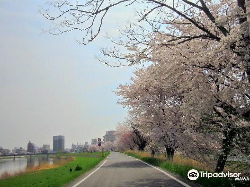 1 10 sakuratsutsumi 桜川堤 茨城县土浦市 查看更多详情 预订 点评