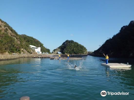 太地町太地海岸攻略-太地海岸门票价格多少钱-团购票价预定优惠-景点