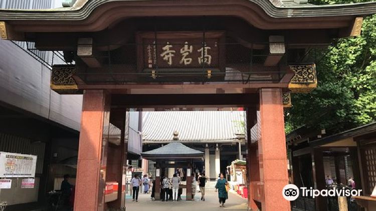 东京高岩寺攻略-高岩寺门票价格多少钱-团购票价预定