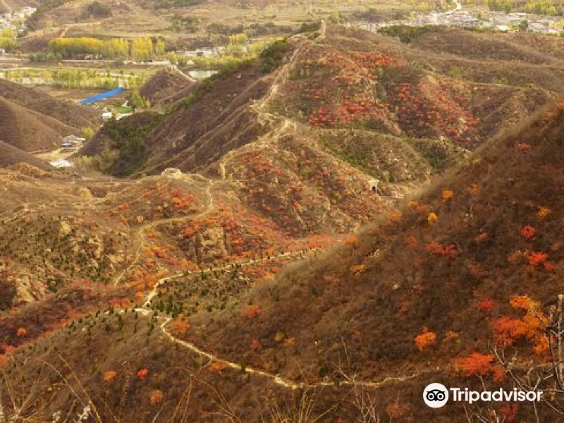 古北口卧虎山长城