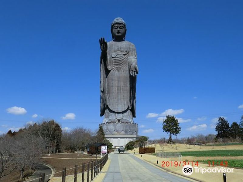 牛久市牛久大佛攻略-牛久大佛门票价格多少钱-团购票价预定优惠-景点