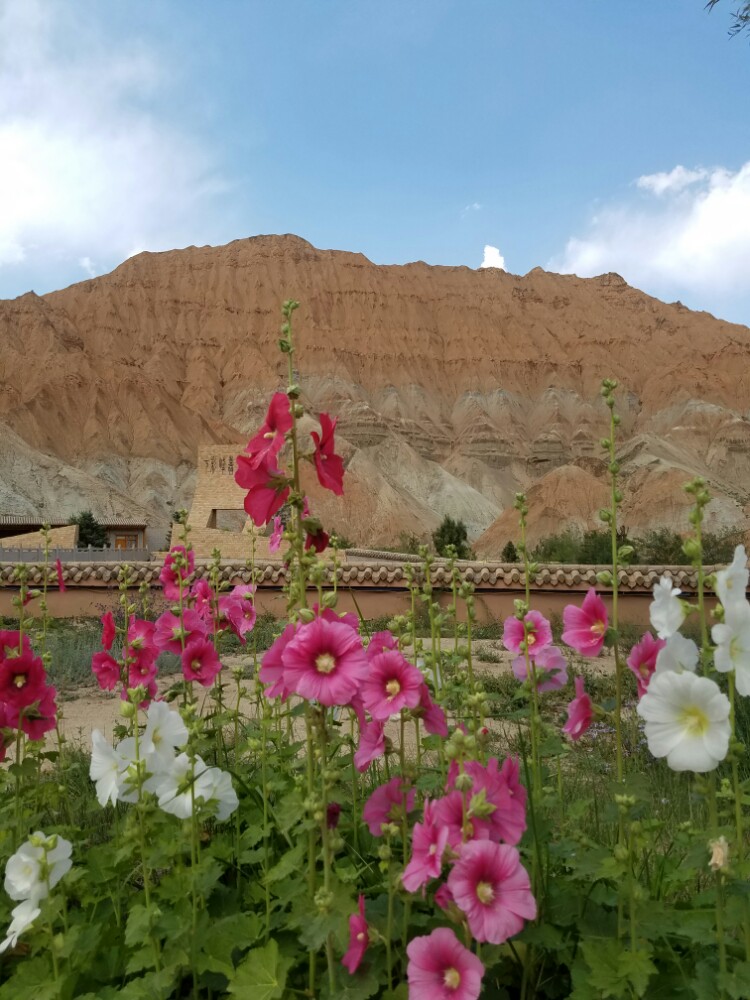 贵德国家地质公园阿什贡七彩峰丛景区旅游景点攻略图