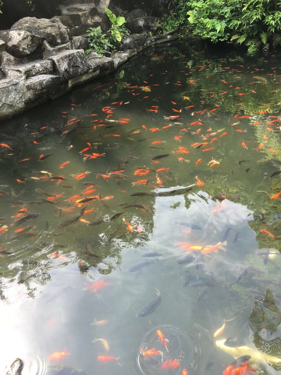 青青世界旅游景点攻略图