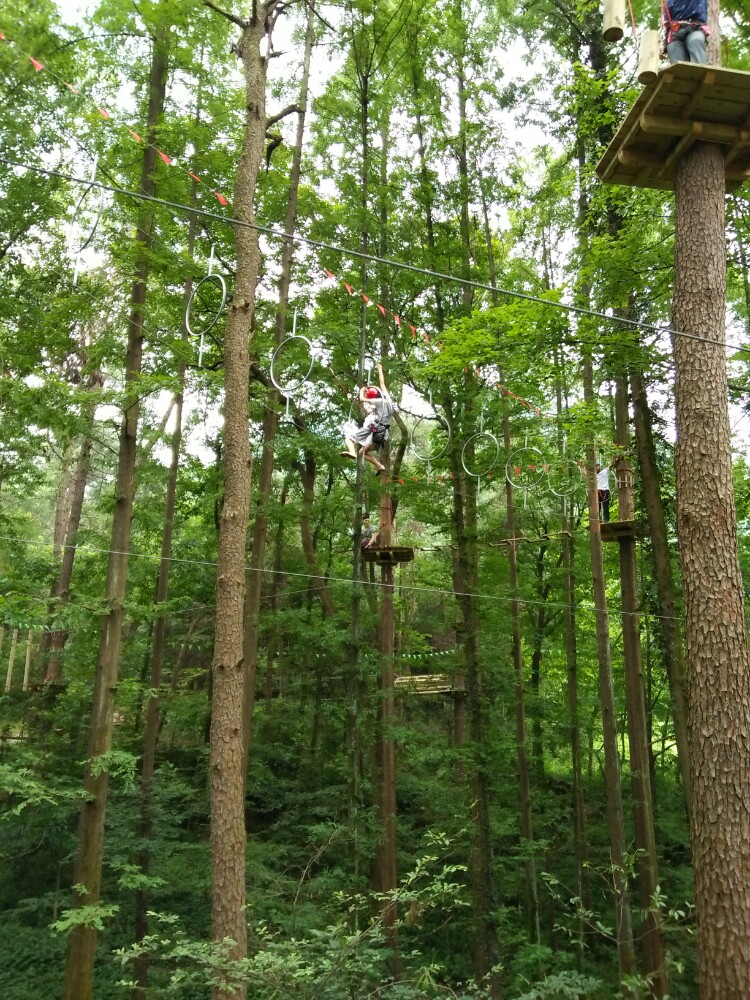 大奇山疯狂森林主题乐园