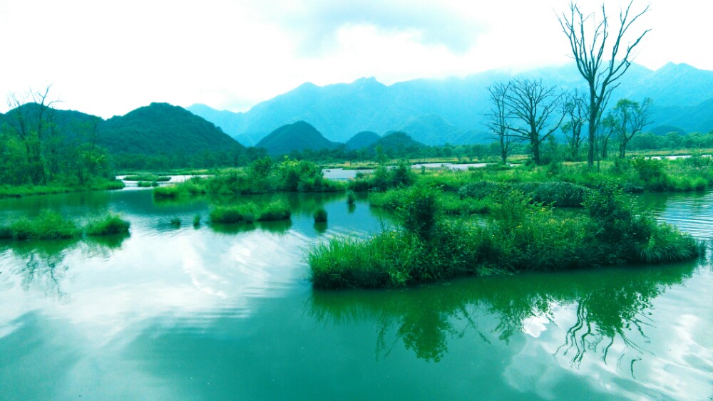 大九湖国家湿地公园