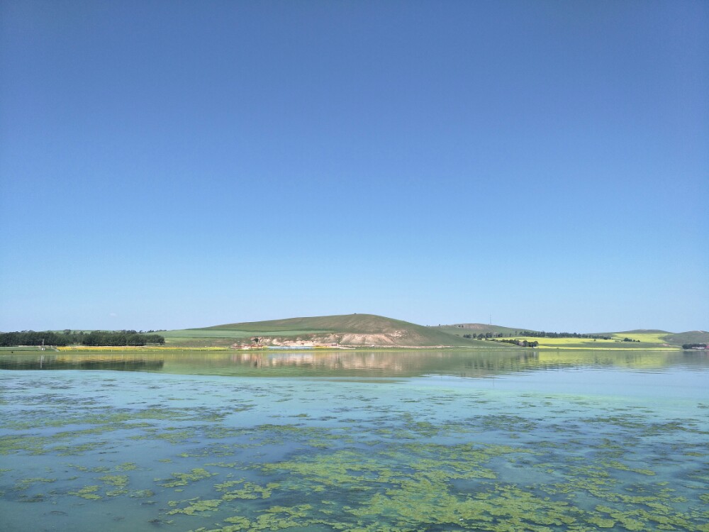 沽源库伦天鹅湖景区好玩吗,沽源库伦天鹅湖景区景点怎么样_点评_评价
