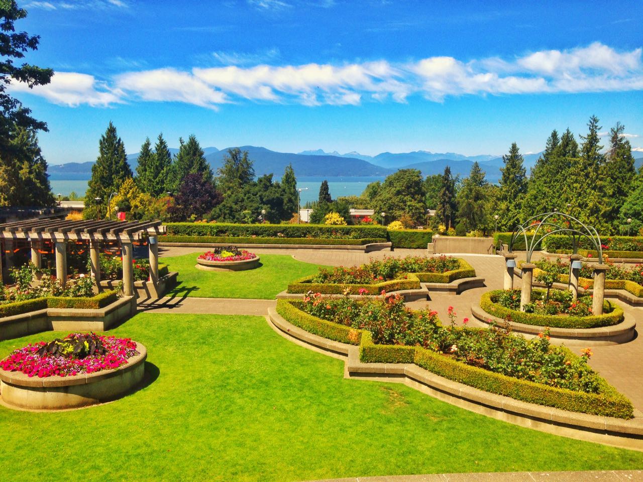 哥伦比亚植物|哥伦比亚画师 paola