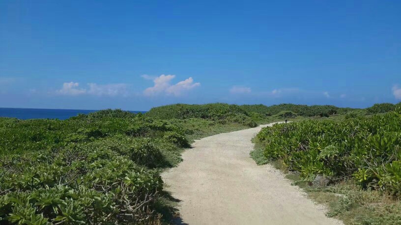 龙坑生态保护区