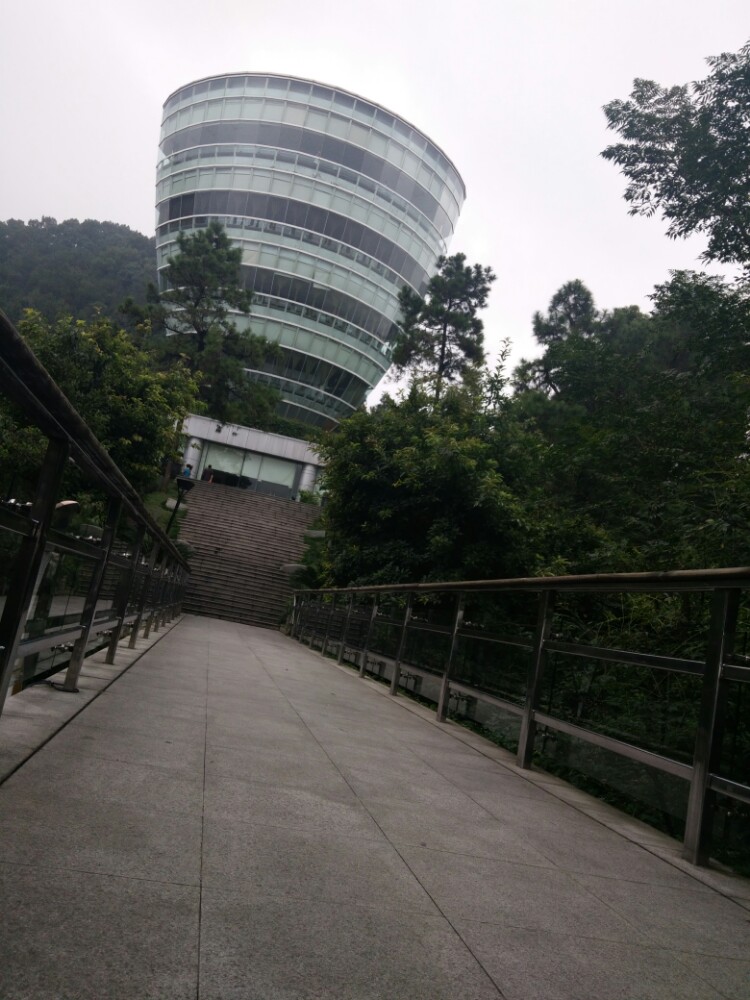 重庆南山一棵树观景台好玩吗,重庆南山一棵树观景台样