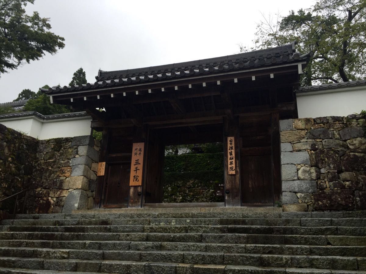 2019三千院_旅游攻略_门票_地址_游记点评,京都旅游