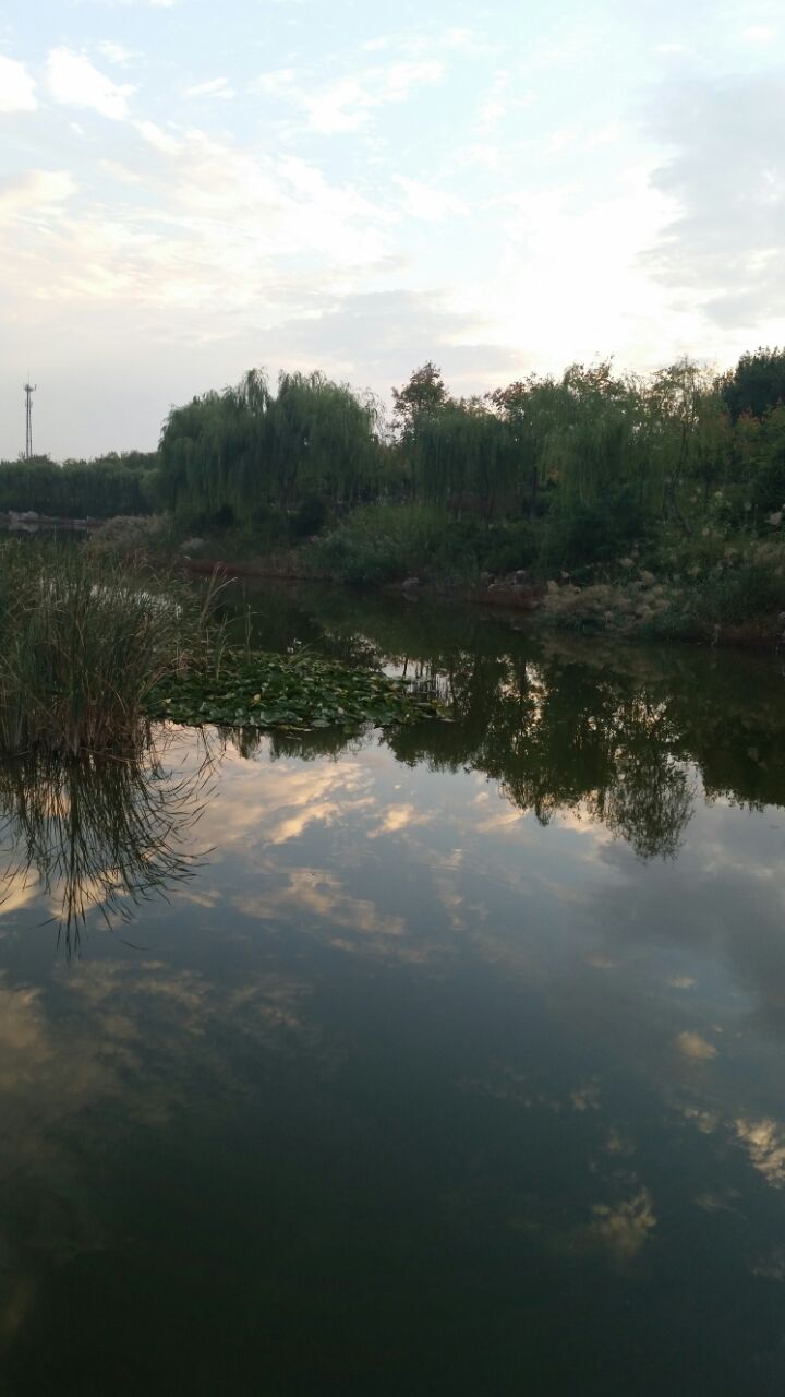 潍坊浞河景区好玩吗,潍坊浞河景区景点怎么样_点评_评价【携程攻略】