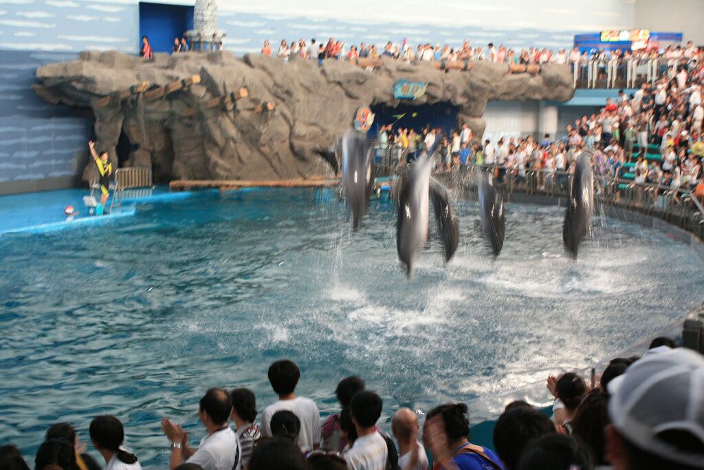 老虎滩极地海洋动物馆