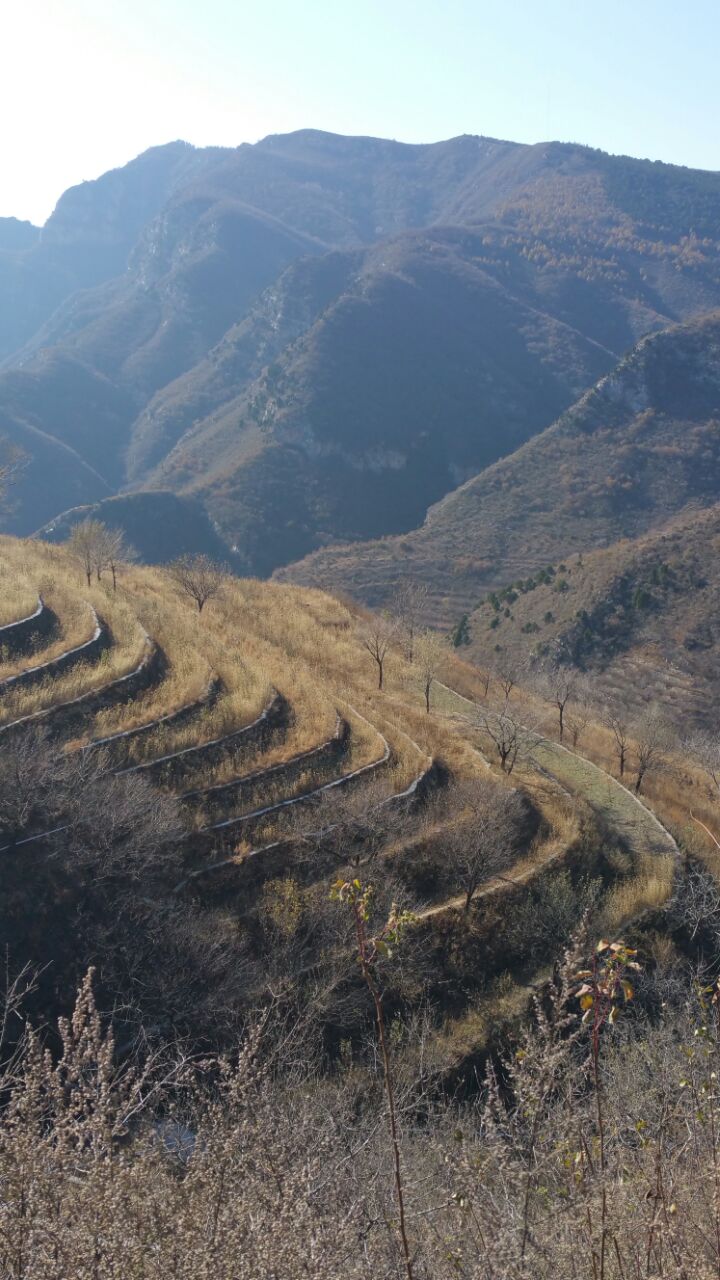 蒲洼乡旅游景点攻略图