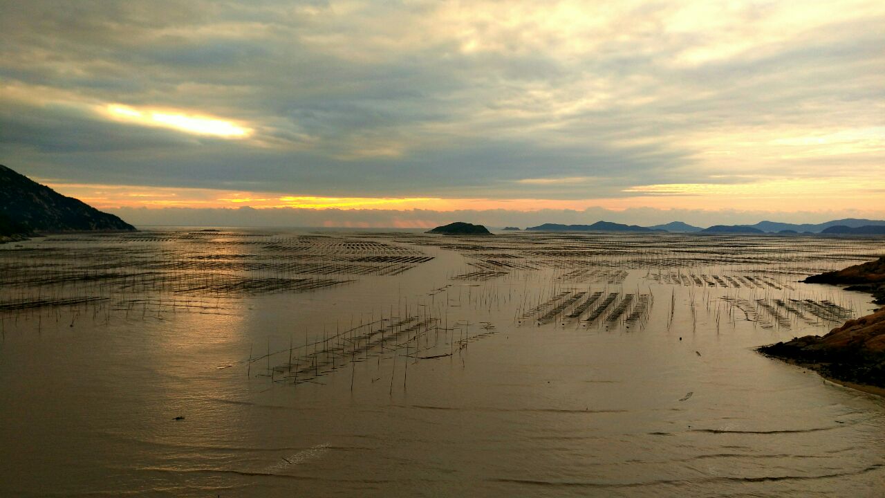 北岐滩涂