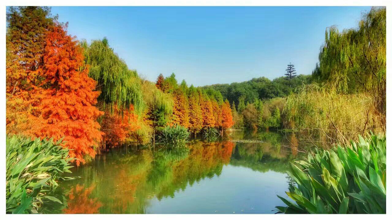 南京琵琶湖公园好玩吗,南京琵琶湖公园景点怎么样