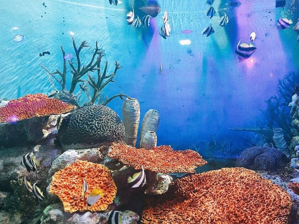釜山水族馆