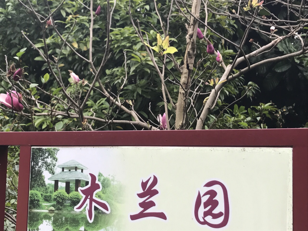 木兰园