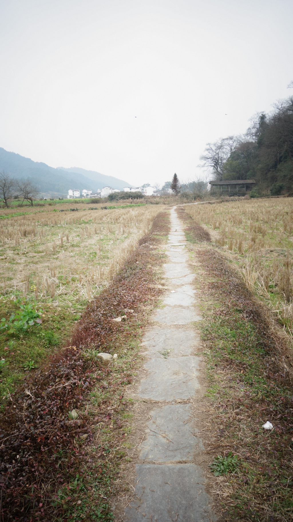 无数条田间小径将村庄,青山,田野联系在一起.