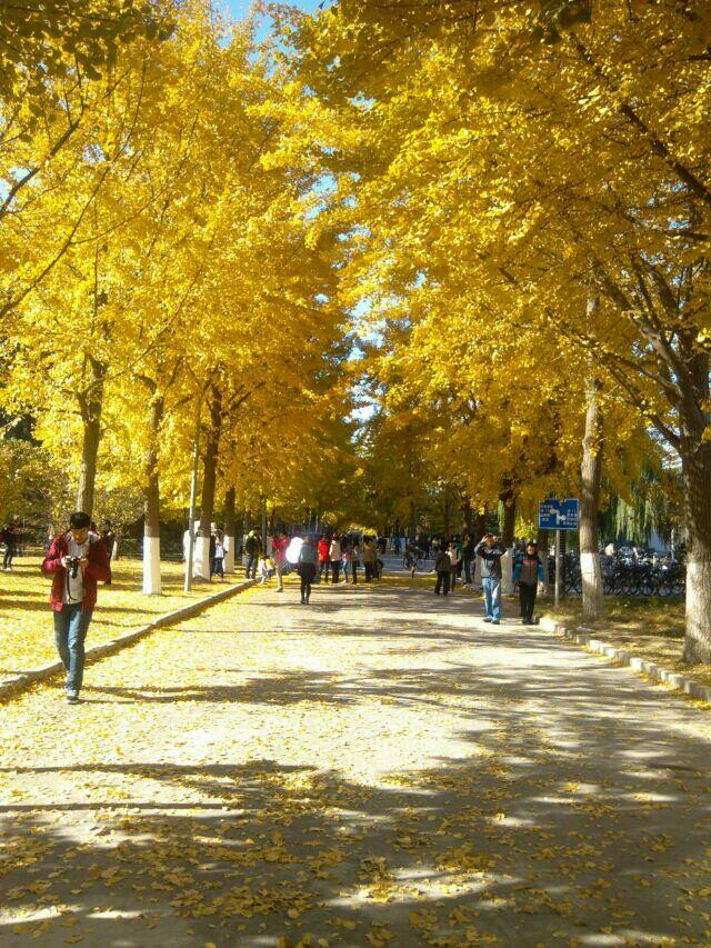 北京交通大学